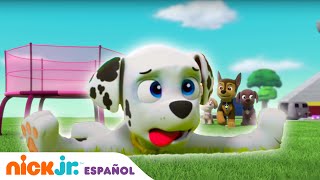 PAW Patrol  ¡Día superdivertido arriba arriba y vamos  Nick Jr en Español [upl. by Ashbey]