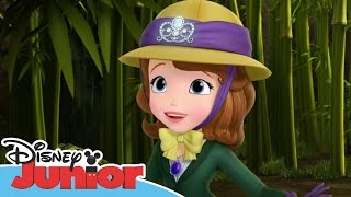 Sofia the First  Stronger Than You Know  Official Disney Junior Africa [upl. by Yatzeck]