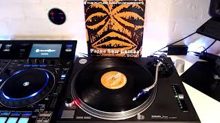 The Future Sound Of London  Papua New Guinea Hybrid Mix [upl. by Oek]