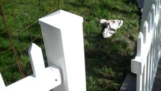 VERANDA white Vinyl Fence Bracket [upl. by Kendrick]