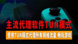 真·全局网络代理，TUN模式教程，使用TUN模式代理所有网络流量，畅玩游戏，Clash ClashNv2rayN主流热门代理软件TUN开启教程及使用方法！ [upl. by Yaja900]