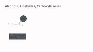 Biochemistry 12 Functional groups [upl. by Dammahum426]