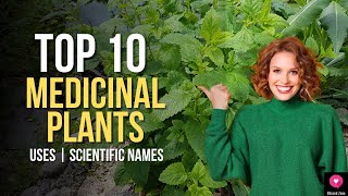 Top 10 Medicinal Plants And Their Uses  Scientific Names  Medicinal Plants You Can Grow At Home [upl. by Drannel]