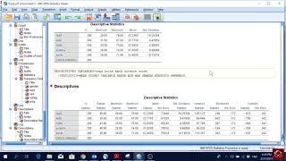 SPSS 7 Descriptive Statistics  Mean Range Standard Deviation Skewness Kurtosis [upl. by Jaquelin]