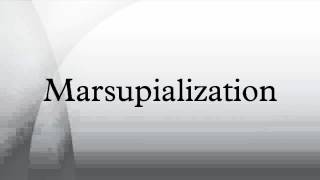 Marsupialization [upl. by Basia]