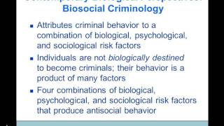 Theories of Criminology Dr A Black [upl. by Aztin]