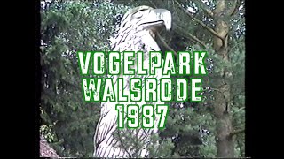 Vogelpark Walsrode 1987 [upl. by Zenas]