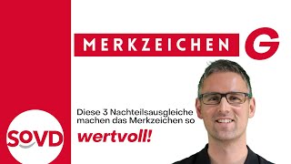 Diese 3 Nachteilsausgleiche machen das Merkzeichen quotGquot so wertvoll [upl. by Andree27]