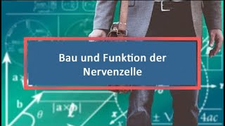 Bau und Funktion der Nervenzelle [upl. by Idnal]