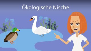 Ökologische Nische einfach erklärt [upl. by Nohsid]