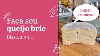 Como fazer queijo briecamembert em casa  Parte 1 [upl. by Umberto]