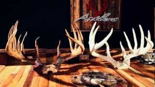 Antlers by Klaus  Finest Replicas in the World [upl. by Corri]