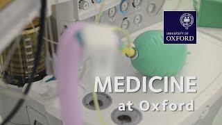 Medicine at Oxford University [upl. by Noraa]