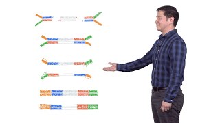 Next Generation Sequencing 2 Illumina NGS Sample Preparation  Eric Chow UCSF [upl. by Inama]