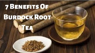 7 Benefits Of Burdock Root Tea [upl. by Kokoruda]