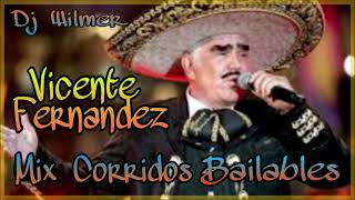 Corridos Bailables Mix Vicente Fernandez 2021 FT DJ Wilmer [upl. by Enialb996]