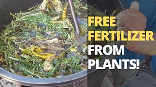 How to Make POWERFUL Fertilizer from ANY Plant [upl. by Verlie]