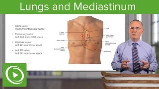 Imaging of Mediastinum Radiological Anatomy  Dr Avni Skandhan MD [upl. by Nedyah177]