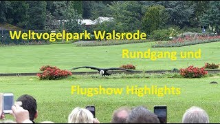 Weltvogelpark Walsrode  Rundgang und Flugshow Highlights [upl. by Barrie]