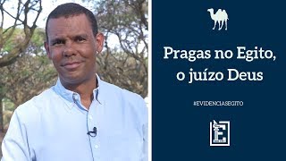 Especial Egito  Pragas no Egito o Juízo de Deus [upl. by Neenaej]