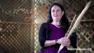 Sukkot How to Say the Blessings and Shake the Lulav [upl. by Wylma]