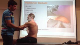 Pectoralis Major Palpation Manual Therapy and Stretch [upl. by Elleuqram907]