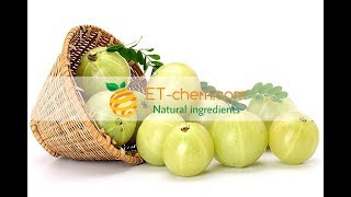 Amla fruit extracts benefitsfunctions how to produce Phyllanthus emblicaTanins Vitamin C 2018 [upl. by Saudra593]