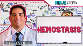 Hematology  Hemostasis Coagulation Cascade [upl. by Otcefrep]