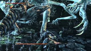 Bloodborne Boss Guide How to beat Amygdala [upl. by Elleined]