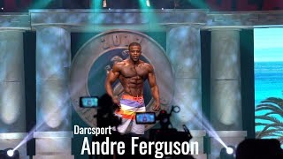 Bodybuilder Andre Ferguson Posing  2017 Mr Olympia Mens Physique [upl. by Jelle]