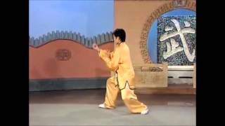 88 Yang Style Tai Chi Quan Form [upl. by Enoj]