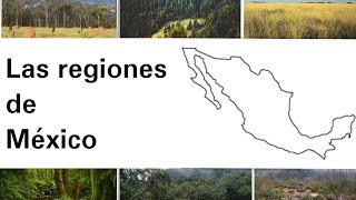 Las regiones de México  Geografía [upl. by Jary]