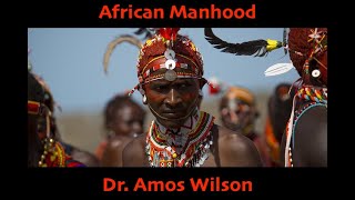 African Manhood Dr Amos Wilson  Goodie Mob Visualizer [upl. by Dougy324]