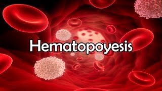 Hematopoyesis [upl. by Fendig195]