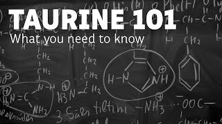 What Is Taurine Exactly  The Health Benefits [upl. by Ekihc]