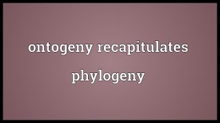 Ontogeny recapitulates phylogeny Meaning [upl. by Bryner689]