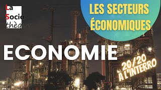 Les secteurs dactivité économiques  primaire secondaire et tertiaire [upl. by Nele105]