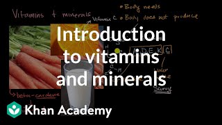 Introduction to vitamins and minerals  Biology foundations  High school biology  Khan Academy [upl. by Ahsini]