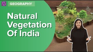 Natural Vegetation Of India  Class 6  Geography  Learn With BYJUS [upl. by Carmelita17]