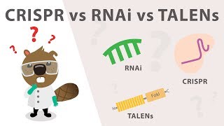 Gene Silencing Methods CRISPR vs TALENs vs RNAi [upl. by Eixirt]