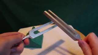 Tuning Fork Demo [upl. by Elicia]