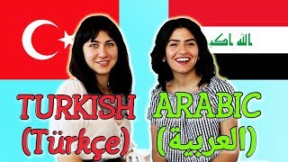 Similarities Between Turkish and Arabic [upl. by Yenahc]