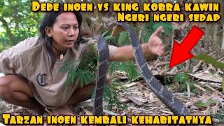 DEDE INOEN VS KING COBRA PANJANG [upl. by Etnelav]