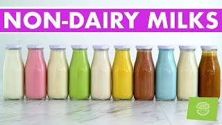 10 Homemade Nut amp NonDairy Milks Vegan Recipes  FREE EBOOK [upl. by Eirrac]