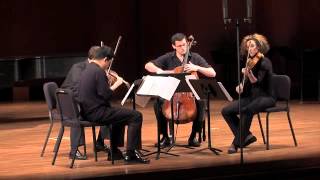 Ligeti String Quartet No 1 quotMétamorphoses nocturnesquot Movements I  XII [upl. by Alur663]