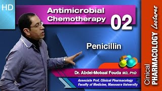 Antimicrobial chemotherapy Ar  02  Penicillin [upl. by Vitale]