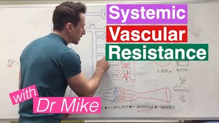 Systemic Vascular Resistance Total Peripheral Resistance  Cardiology [upl. by Townie]