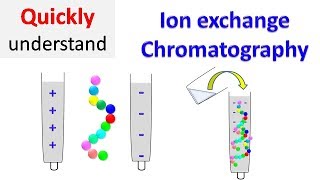 Ion exchange chromatography [upl. by Kcirdled]