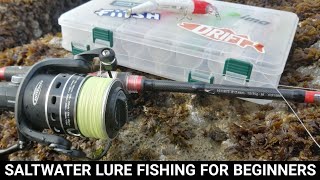 SALTWATER LURE FISHING FOR BEGINNERS  WHERE TO START SEA FISHING UK [upl. by Benita544]