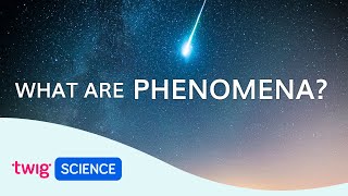 Phenomena Explained What is phenomenabased learning  Twig Science [upl. by Alletsyrc]